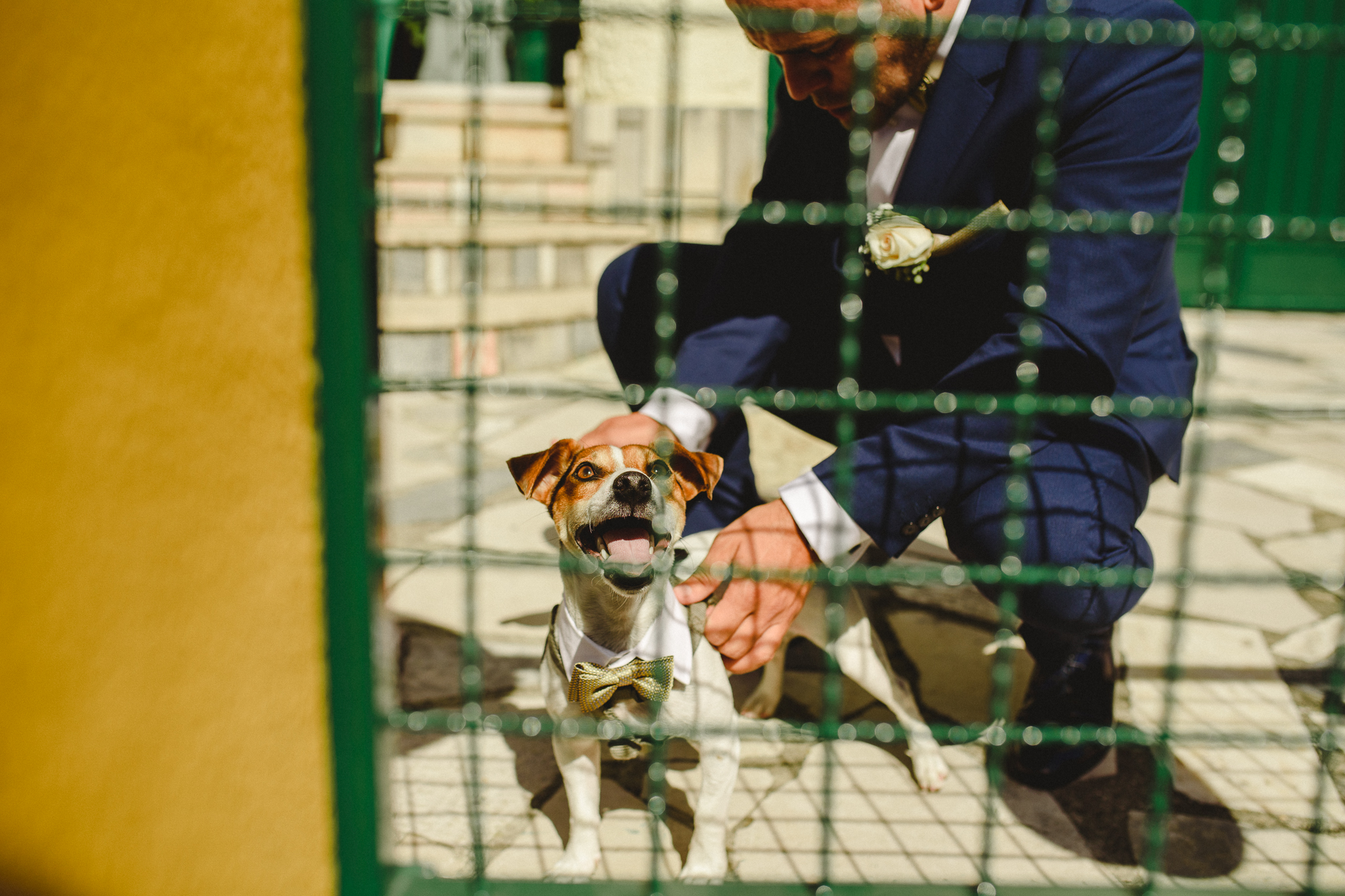 Groom taking care of his dog before leaving for church