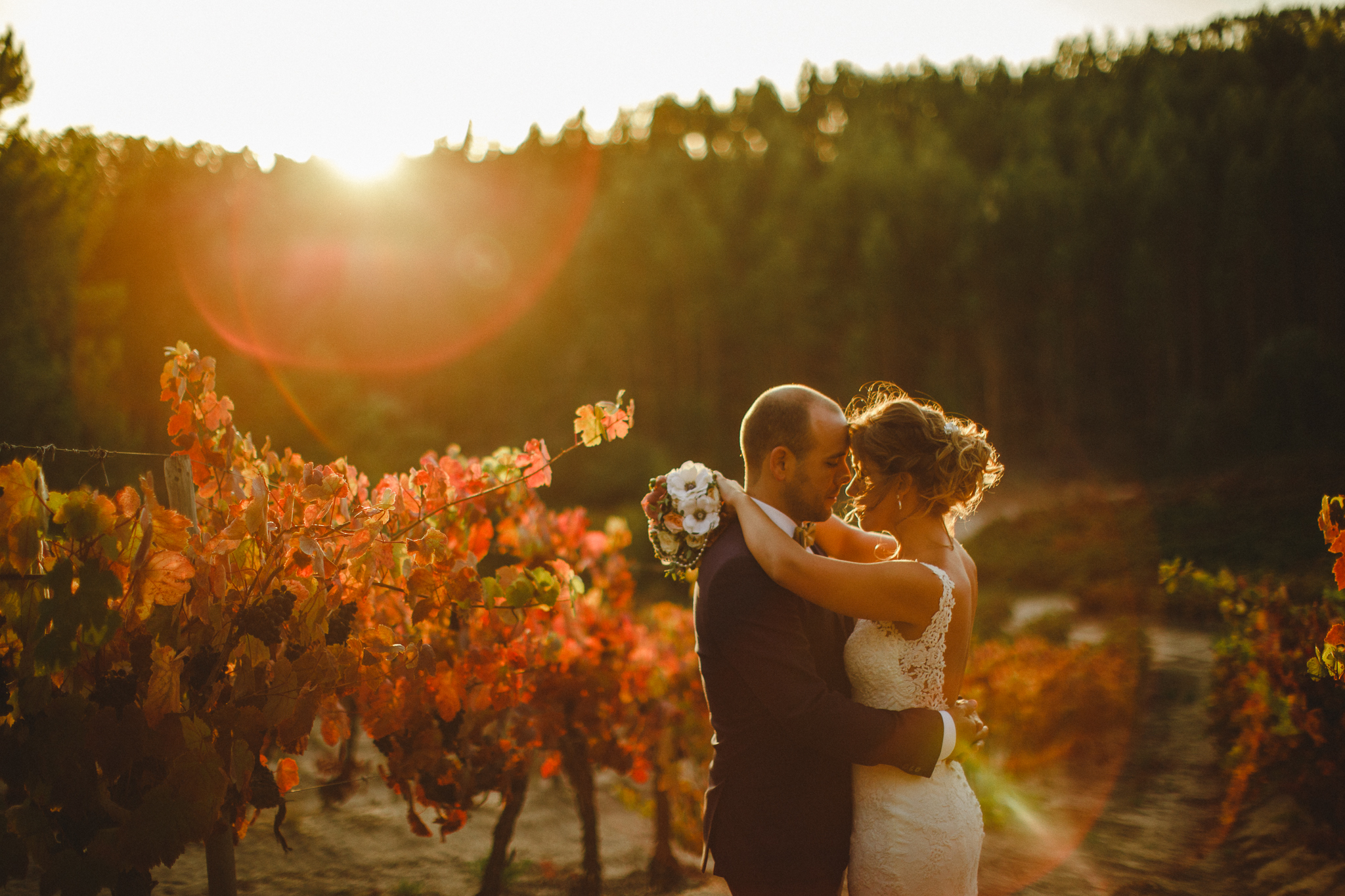 Bride and groom during their bridal photo shoot during sunset in the vineyards.